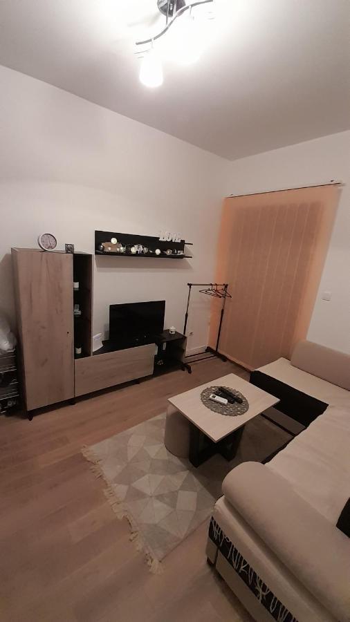 Apartman Tia Vrnjačka Banja Εξωτερικό φωτογραφία