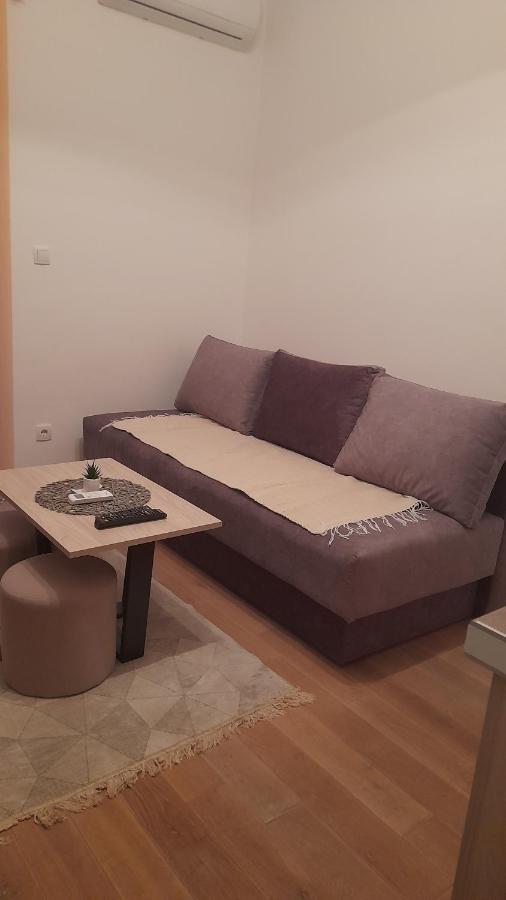 Apartman Tia Vrnjačka Banja Εξωτερικό φωτογραφία